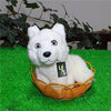 Toy - LightningStore Adorable Cute White Baby Fox Wolf Stuffed Animal Doll Realistic Looking Plush Toys Plushie Children's Gifts Animals