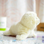 Toy - LightningStore Adorable Cute White Harp Seal Stuffed Animal Doll Realistic Looking Plush Toys Plushie Children's Gifts Animals