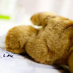 Toy - LightningStore Adorable Cute Yellow And Brown Cat Kitten Doll Realistic Looking Stuffed Animal Plush Toys Plushie Children's Gifts Animals