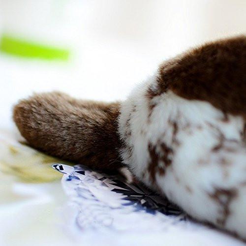Toy - LightningStore Adorable Oreo Cookie And Cream Brown And White Dog Puppy Doll Realistic Looking Stuffed Animal Plush Toys Plushie Children's Gifts Animals + Toy Organizer Bag Bundle