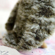 Toy - LightningStore Adorable Patterned Owl Doll Realistic Looking Stuffed Animal Plush Toys Plushie Children's Gifts Animals
