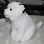 Toy - LightningStore Adorable White Tiger Cub Baby Dolls Realistic Looking Stuffed Animal Plush Toys Plushie Children's Gifts Animals