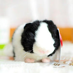 Toy - LightningStore Black And White Oreo Guniea Pig Dolls Realistic Looking Stuffed Animal Plush Toys Plushie Children's Gifts Animals