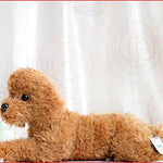Toy - LightningStore Super Cute Adorable Brown Poodle Plush Dog Doll Stuffed Animal Toy + Toy Organizer Bag Bundle