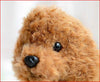 Toy - LightningStore Super Cute Adorable Brown Poodle Plush Dog Doll Stuffed Animal Toy + Toy Organizer Bag Bundle