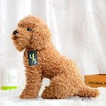 Toy - LightningStore Yellow Orange Sitting Poodle Teddy Puppy Dog Dolls Realistic Looking Stuffed Animal Plush Toys Plushie Children's Gifts Animals + Toy Organizer Bundle