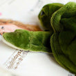 Toy - New Release!! LightningStore Cute Turtle Dolls Realistic Looking Stuffed Animal Plush Toys Plushie Children's Gifts Animals