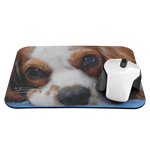Cavalier King Charles Spaniel MousePad - Cute Sleeping Dog Eyes Mouse Mat