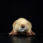 LightningStore Beaver Dolls Realistic Looking Stuffed Animal Plush Toys Plushie Children's Gifts Animals