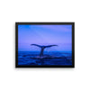Whale Tail Framed Photo Poster Wall Art Decoration Decor For Bedroom Living Room