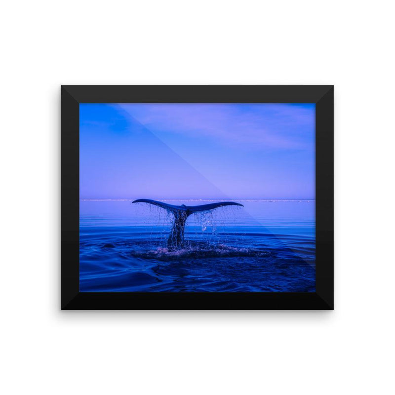 Whale Tail Framed Photo Poster Wall Art Decoration Decor For Bedroom Living Room