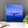 Whale Tail Framed Photo Poster Wall Art Decoration Decor For Bedroom Living Room