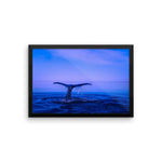 Whale Tail Framed Photo Poster Wall Art Decoration Decor For Bedroom Living Room