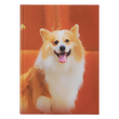 Taccuino fotografico personalizzato con Corgi - Trasforma le tue foto in un diario di cancelleria in edizione limitata