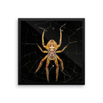 Yellow Spider Framed Photo Poster Wall Art Decoration Decor For Bedroom Living Room