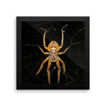 Yellow Spider Framed Photo Poster Wall Art Decoration Decor For Bedroom Living Room