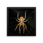Yellow Spider Framed Photo Poster Wall Art Decoration Decor For Bedroom Living Room